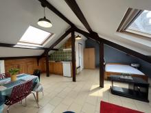 Residence-3 bis pl de l Esplanade-studio avec un lit double esprit loft 