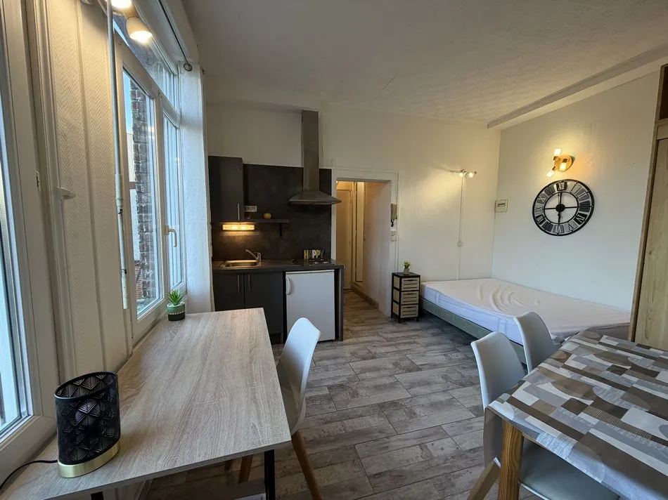 STUDIO LUMINEUX - TERTIALES - IDEAL ETUDIANT