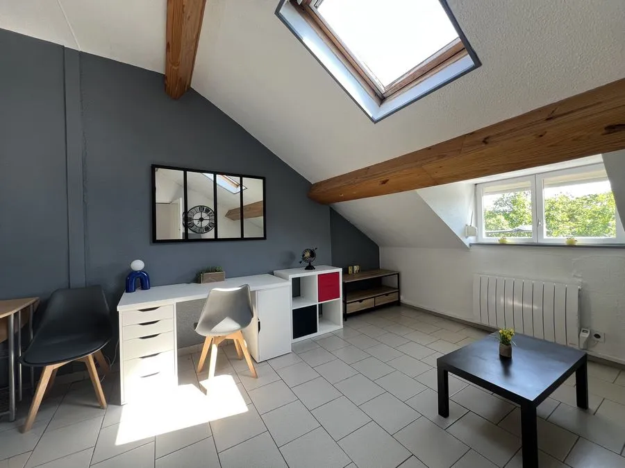 GRAND APPARTEMENT  - IDEAL ETUDIANT - WALLON